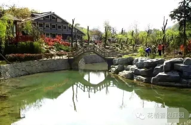 這個(gè)周末，隴南康縣花橋有大事要發(fā)生？