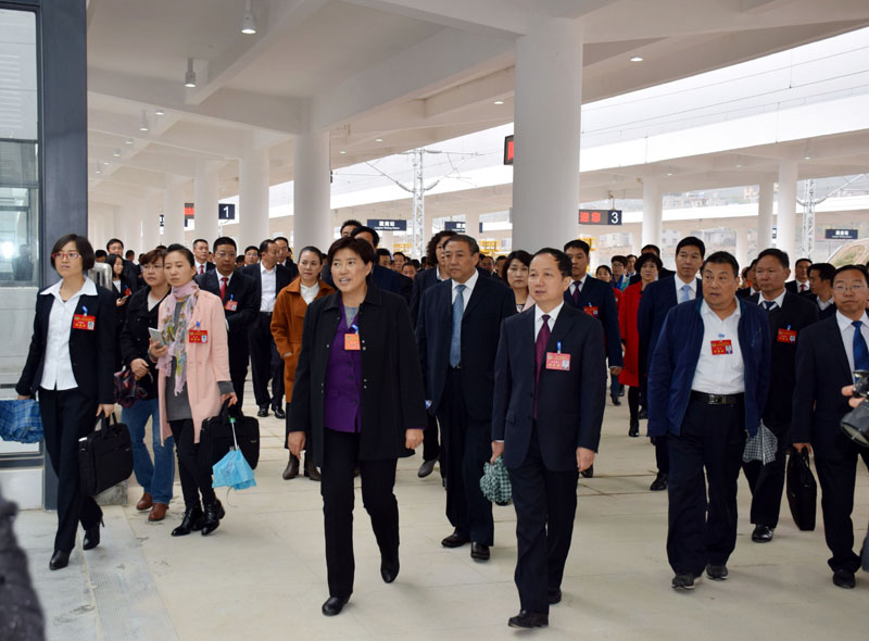 政協(xié)隴南市第四屆委員會(huì)第一次會(huì)議委員參觀階州廣場