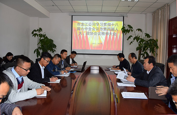 市龍江公司召開全體員工大會，專題傳達學習上級會議精神