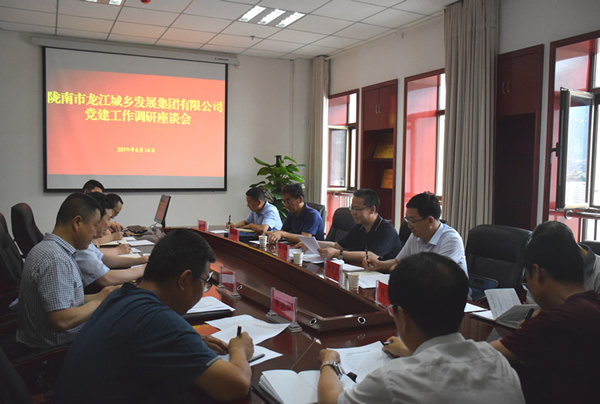 隴南市委常委、組織部部長(zhǎng)楊郃調(diào)研指導(dǎo)市龍江城鄉(xiāng)發(fā)展集團(tuán)公司黨建工作